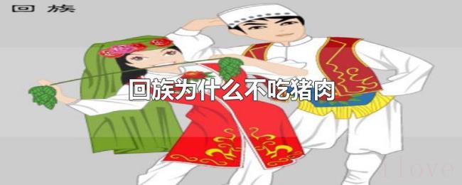 回族为什么不吃猪肉 回族为什么不吃猪肉