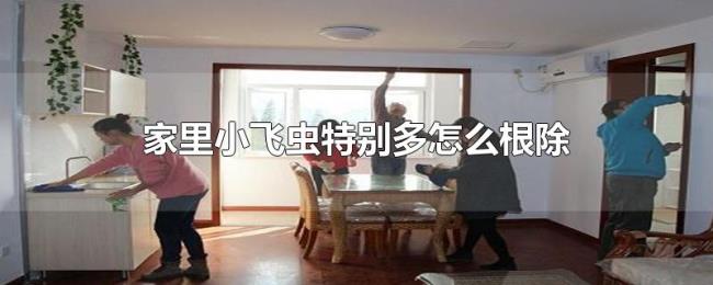 家里小飞虫特别多怎么根除 家里小飞虫特别多怎么根除