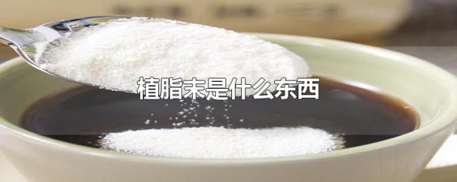 植脂末是什么东西 植脂末是什么东西