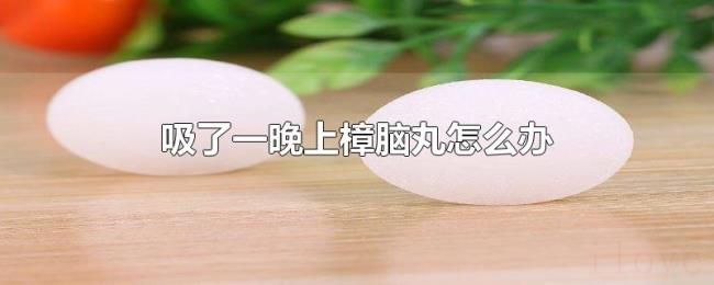 吸了一晚上樟脑丸怎么办