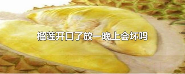 榴莲开口了放一晚上会坏吗 榴莲开口了放一晚上会坏吗