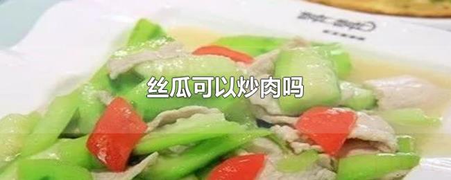 丝瓜可以炒肉吗 丝瓜可以炒肉吗