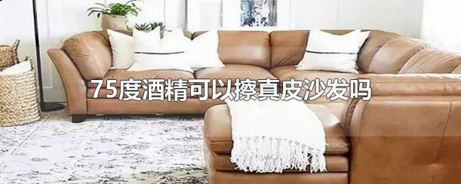 75度酒精可以擦真皮沙发吗 75度酒精可以擦真皮沙发吗