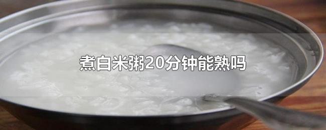 煮白米粥20分钟能熟吗 煮白米粥20分钟能熟吗