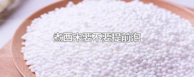 煮西米要不要提前泡 煮西米要不要提前泡
