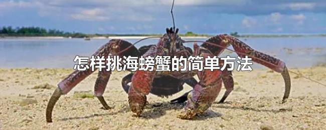 怎样挑海螃蟹的简单方法 怎样挑海螃蟹的简单方法