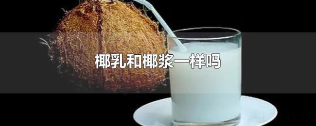 椰乳和椰浆一样吗 椰乳和椰浆一样吗