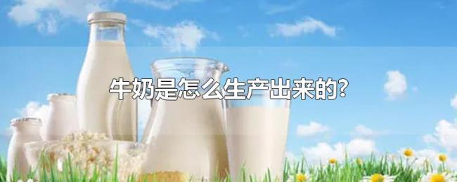牛奶是怎么生产出来的?