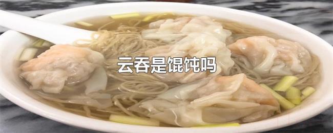 云吞是馄饨吗