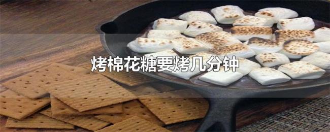 烤棉花糖要烤几分钟