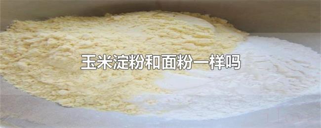 玉米淀粉和面粉一样吗 玉米淀粉和面粉一样吗