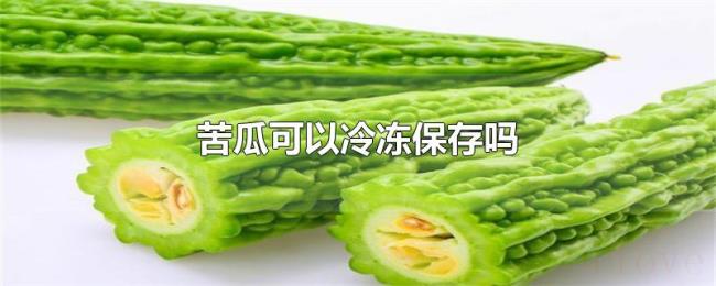 苦瓜可以冷冻保存吗