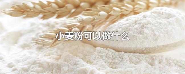 小麦粉可以做什么 小麦粉可以做什么