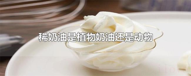 稀奶油是植物奶油还是动物 稀奶油是植物奶油还是动物