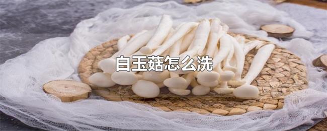 白玉菇怎么洗 白玉菇怎么洗