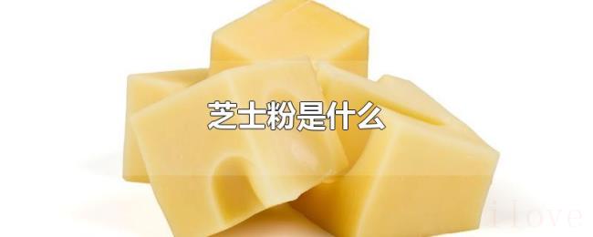 芝士粉是什么