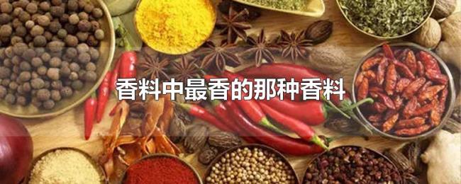 香料中最香的那种香料