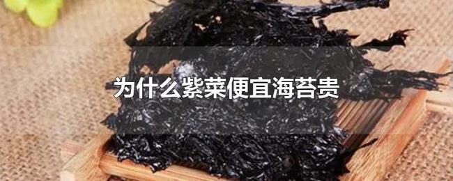 为什么紫菜便宜海苔贵 为什么紫菜便宜海苔贵