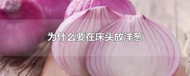 为什么要在床头放洋葱 为什么要在床头放洋葱