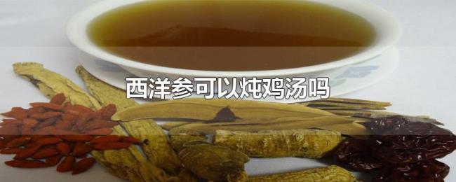 西洋参可以炖鸡汤吗