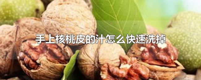手上核桃皮的汁怎么快速洗掉 手上核桃皮的汁怎么快速洗掉