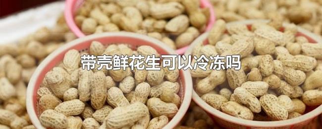 带壳鲜花生可以冷冻吗 带壳鲜花生可以冷冻吗