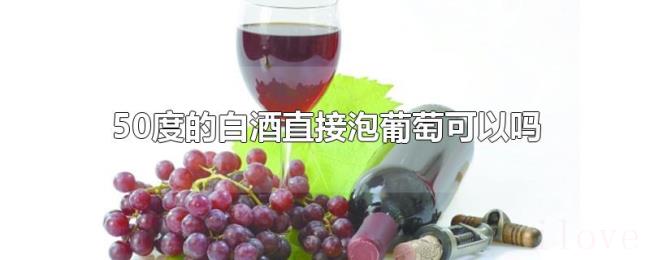 50度的白酒直接泡葡萄可以吗 50度的白酒直接泡葡萄可以吗
