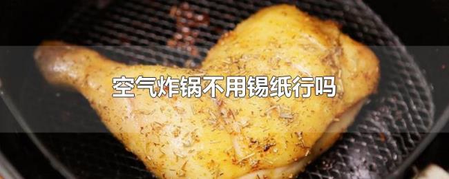 空气炸锅不用锡纸行吗