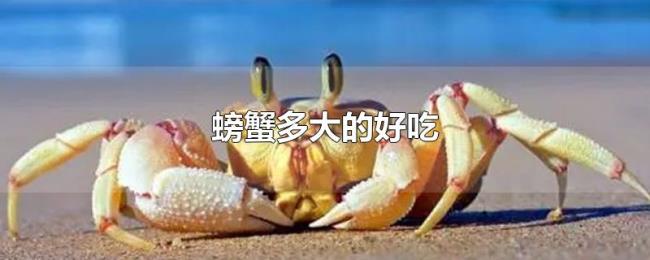 螃蟹多大的好吃 螃蟹多大的好吃