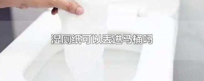 湿厕纸可以丢进马桶吗 湿厕纸可以丢进马桶吗