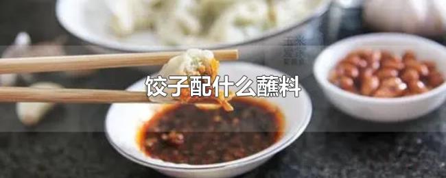 饺子配什么蘸料 饺子配什么蘸料