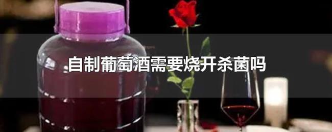 自制葡萄酒需要烧开杀菌吗 自制葡萄酒需要烧开杀菌吗