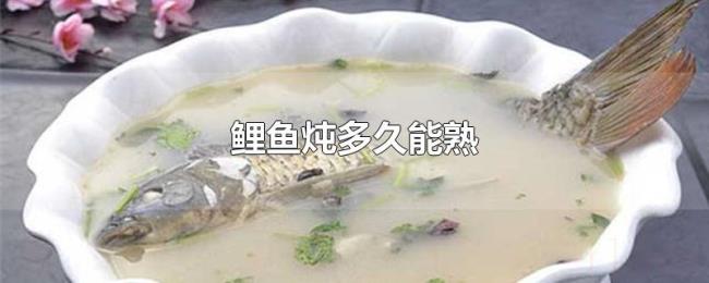 鲤鱼炖多久能熟