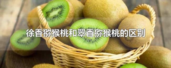 徐香猕猴桃和翠香猕猴桃的区别 徐香猕猴桃和翠香猕猴桃的区别