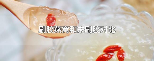 刷胶燕窝和未刷胶对比 刷胶燕窝和未刷胶对比