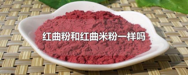 红曲粉和红曲米粉一样吗
