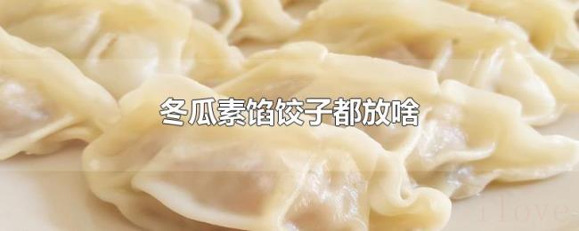 冬瓜素馅饺子都放啥 冬瓜素馅饺子都放啥