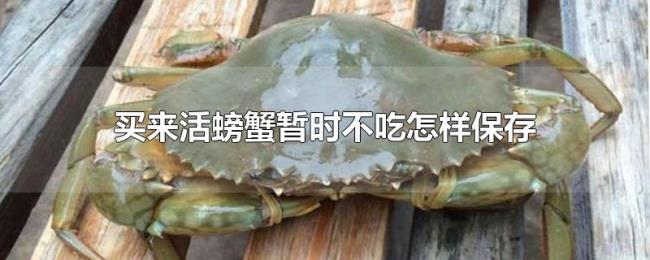 买来活螃蟹暂时不吃怎样保存