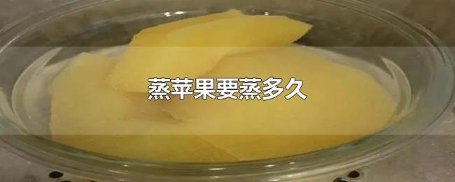蒸苹果要蒸多久