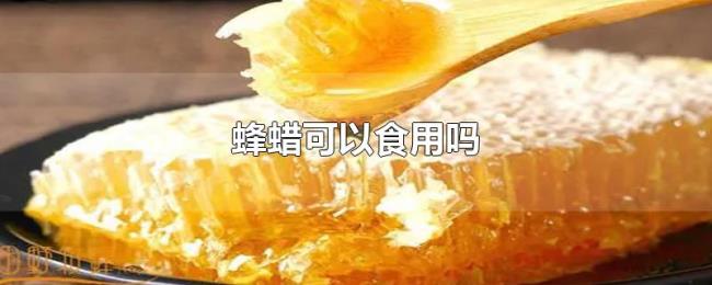 蜂蜡可以食用吗 蜂蜡可以食用吗