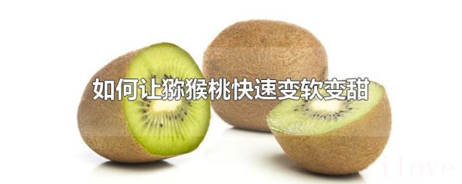 如何让猕猴桃快速变软变甜 如何让猕猴桃快速变软变甜