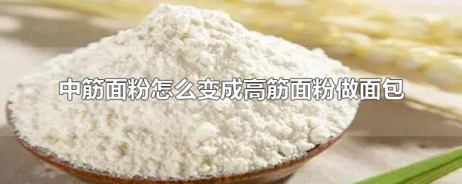 中筋面粉怎么变成高筋面粉做面包