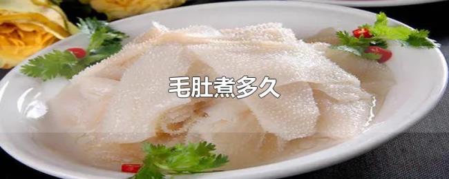 毛肚煮多久