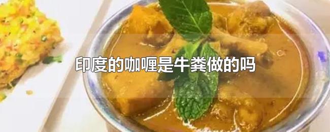 印度的咖喱是牛粪做的吗