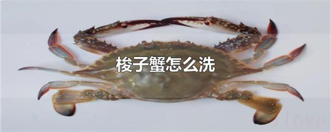 梭子蟹怎么洗