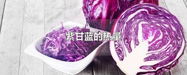 紫甘蓝的热量 紫甘蓝的热量