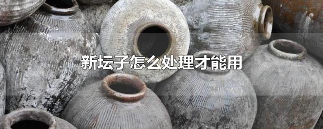 新坛子怎么处理才能用