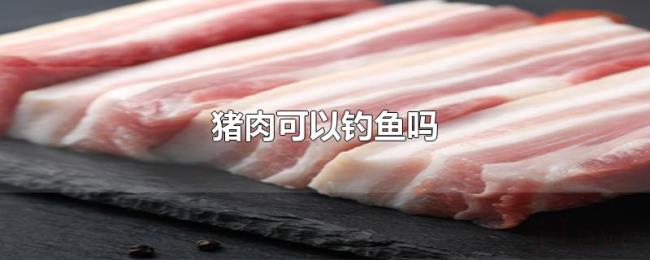 猪肉可以钓鱼吗 猪肉可以钓鱼吗