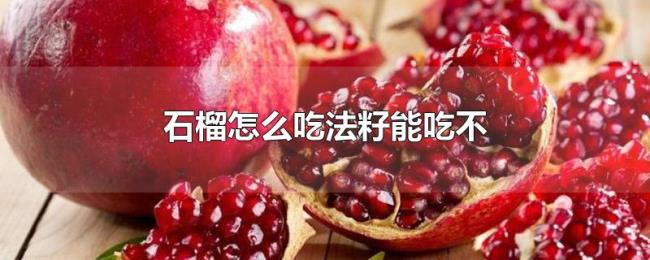石榴怎么吃法籽能吃不 石榴怎么吃法籽能吃不