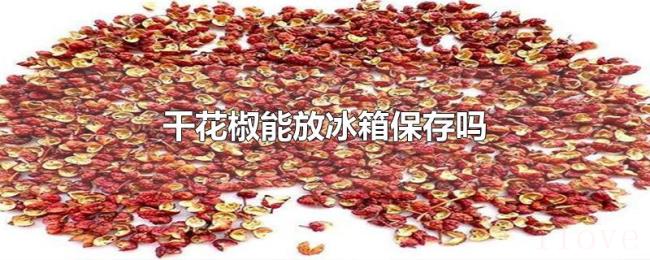 干花椒能放冰箱保存吗